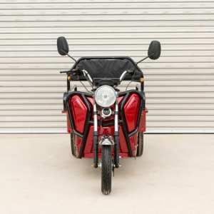 Hot Selling Passenger Tricycle for Tourism Transport - Product Image 5