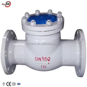 DN150-16C Válvula de retenção de aço carbono válvula WCB com cor