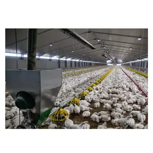 Prefab steel economic open type broiler chicken house egg chicken laying hens poultry farm structure shed design