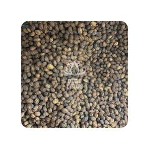 เมล็ดมะละกอแห้ง บลูโลตัส 2025 ราคาดีที่สุด - Product Image 1