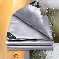 Personnalisé 180GSM Argenté Tissu Imperméable Auvent Extérieur Ombrage Voile Bateau Voiture Camion Couverture Imperméable PE Bâche