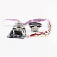 Controlador de Altavoz Multimedia PCBA de 5W con Control por Voz y Luz Intermitente LED para Actividades al Aire Libre, Sistemas de Transmisión de Audio para Robots