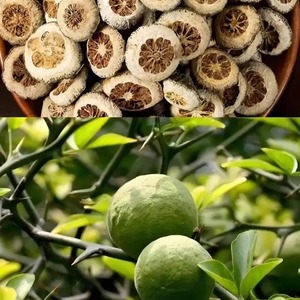 <span class=keywords><strong>Naranja</strong></span> Deshidratada/ Fructus Aurantii Immaturus, Sabor Ácido, Empaque a Granel - Product Image 3