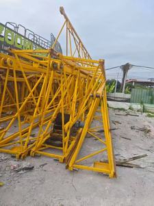 ¡Gran oferta! Nueva llegada 2021: Grúas torre usadas Zoomlion W6012 en stock en Hunan, China. - Product Image 3