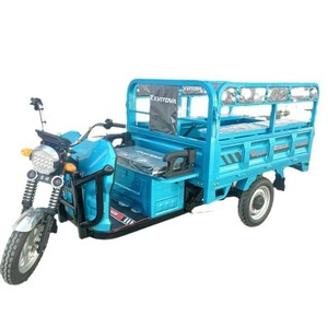 Triciclo de Cabina de Doble Uso para Pasajeros y Carga, Triciclo Económico Directo de Fábrica - Product Image 1