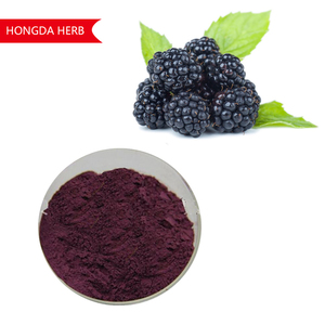 Extracto en polvo de Blackberry, precio de fábrica - Product Image 1