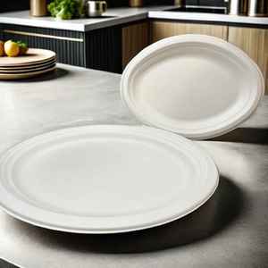 Disposable Food Containers with Matt Lamination and Embossing Printing for Noodles - Product Image 2