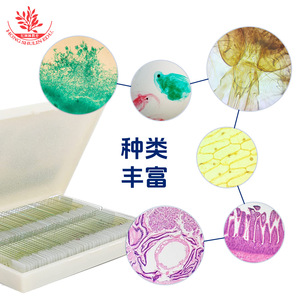 Portaobjetos biológicos, portaprobos de vidrio óptico, material delgado y transparente, células claras, portaprobos típicos para microscopio - Product Image 2
