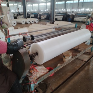 62gsm châu chấu chăn nuôi chuyên nghiệp nhựa Net 40 lưới dày bảo vệ Net - Product Image 3