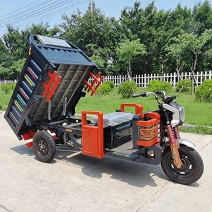 Kenya-Cargo-Tricycle Open Body Adult Motor Transport Tricycle 3 Wheel Motorcycle Trike - Product Image 1