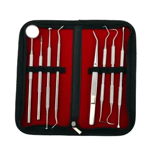 Stainless Steel Dental Tools Dental Hygiene Kit 8in1 design Calculus Tartar Plaque Remover Tooth Cleaner