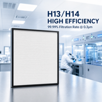 Filter HEPA Senbao Kustom Kapasitas Tinggi H13 Rangka Aluminium 99,99% Aliran Udara Laminar Kondisi Baru Panel Lipat Industri