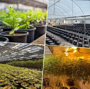 Vaso da fiori OEM/ODM nero extra large da 5, 15, 50, 70 galloni, vaso da vivaio <span class=keywords><strong>per</strong></span> piante da giardino, vaso in <span class=keywords><strong>plastica</strong></span> <span class=keywords><strong>per</strong></span> piante e ortaggi - Product Image 6