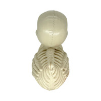 Décoration de canard squelette effrayant, figurine réaliste de canard osseux, accessoire d'Halloween pour la décoration de table, de pelouse, de maison hantée ou de fête
