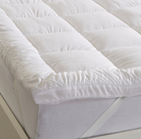 Couverture de matelas Extra épaisse, oreiller en peluche, surmatelas