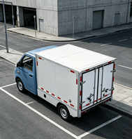 Vehículo Eléctrico de Reparto Cero Emisiones con Caja Grande para Vendedores de Comercio Electrónico, Preparación y Envío FBA