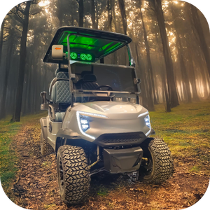 Voiturette de golf 72v au lithium à moteur à courant alternatif personnalisée 2 4 6 places Voiturette de golf électrique Street Legal - Product Image 5