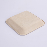Wegwerp servies vierkante bagasse pulp schaal, extra sterk, 100% biologisch afbreekbaar voor voedsel, fruit, restaurants, bruiloften en feesten