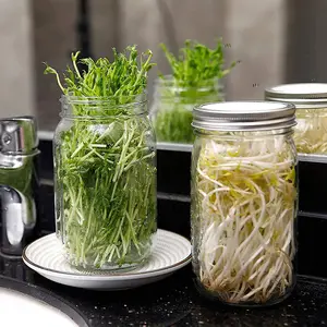 Set 2 Wide Mouth Quart Sprouting Mason Jars with plastic lid and black sleeve Sprouter Sprouting Mung Bean Broccoli 500ml 1000