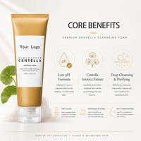 Nettoyant Visage Moussant Personnalisé OEM/ODM à la Centella, Faible pH, Exfoliant, Nettoyage en Profondeur, Purifiant, Contrôle du Sébum pour Peaux Mixtes