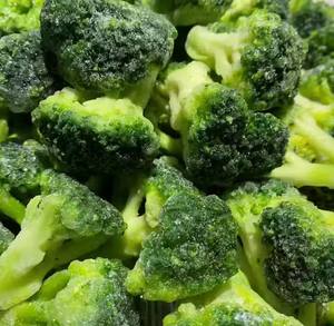 Brocoli surgelé IQF biologique halal <span class=keywords><strong>de</strong></span> serre, prêt à consommer, le plus vendu, vente en gros Shandong - Product Image 3