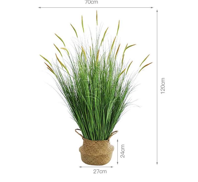 Pot de roseau Daylily 120 cm + GRAND panier en herbe marine