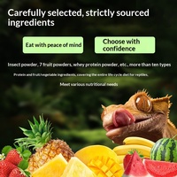 Op insecten gebaseerd fruitpoeder reptielenvoer voor gekko's, baardagamen, blauwtongskinken & hagedissen - Voedzame probiotica 90g