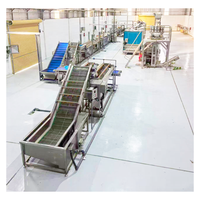 Professionele KAYA Automatische 380V RVS Bloemlijn voor de productie van appel-, cassave-, plantain- en bananenchips.