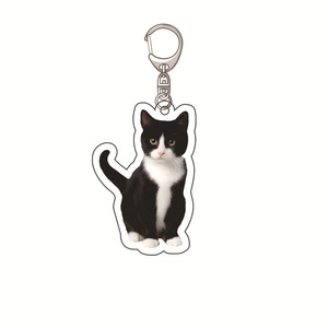Acrylic <b>Keychain</b> 3D Shape 5cm Carabiner Portable <b>Personal</b> Gift - Product Image 4
