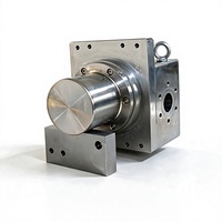 Pompe doseuse industrielle robuste en acier inoxydable à engrenages magnétiques, à bride, avec enveloppe chauffante pour huile thermique, 200cc/R