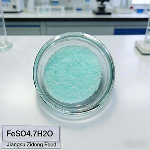 Sulfate ferreux monohydraté de qualité alimentaire 30% de fer pour additif et prémélange alimentaire pour animaux - Product Image 1