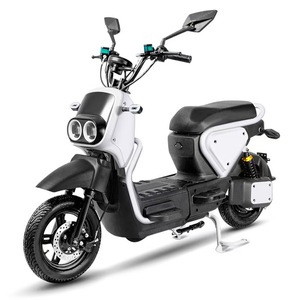 Vélo de ville chinois pour adultes, pneus larges, affichage numérique, fonctionnalités électroniques, moteur sans balais 1000W, cadre en acier, 3 vitesses, freins à disque - Product Image 4