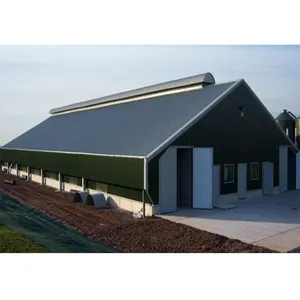 cow cattle farm shed building