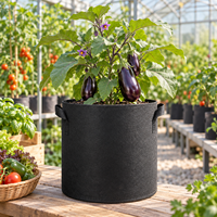 Sac de culture robuste en tissu non tissé avec poignées, 10 gallons, pour la plantation de légumes, pot de jardinage à élagage aérien pour la culture des tomates