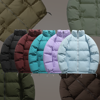 Veste d'hiver décontractée pour homme, couleur unie, col montant, fermeture éclair, vente en gros, vêtements d'extérieur tendance, offre spéciale
