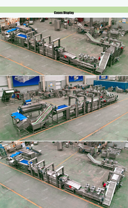 Macchina per la produzione di patatine fritte in piccola scala da 50kgh Linea De Papas Fritas completamente automatica Linea di produzione di patatine fritte surgelate - Product Image 2