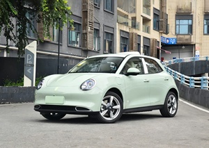Autos Eléctricos Usados de Segunda Mano 2025 GWM ORA Good Cat 401km Vehículo Compacto Clásico - Product Image 4