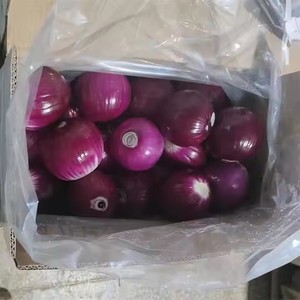 Hữu Cơ Cao Cấp Chất Lượng Đông Lạnh Hành Tây Nhẫn Hữu Cơ Tươi Gốc Cắt Hành Tây Khối Trung Quốc Bán Buôn Hấp Chế Biến Rau - Product Image 3