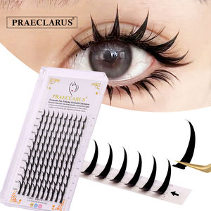 Extension ciglia personalizzate con logo, fatte a mano, effetto wispy, punte sottili, 0.07mm, curvatura <span class=keywords><strong>C</strong></span> D DD, lunghezze miste, extension ciglia 3D preformate effetto wispy - Product Image 1