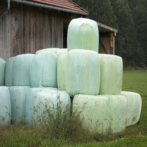 <span class=keywords><strong>Film</strong></span> d'emballage pour balles de foin écologique, résistant à l'humidité, 500 mm x 1700 m, <span class=keywords><strong>film</strong></span> <span class=keywords><strong>étirable</strong></span> en PE pour l'agriculture biologique - Product Image 2