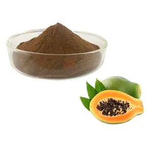 Food Quality Papaya Fruit Extract 4:1 Papaya Fruit Powder