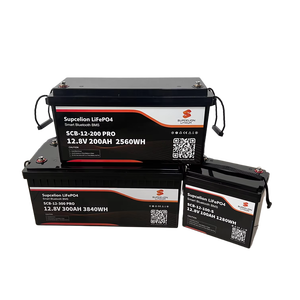 LiFePO4 pin 12V 24V 36V 48V 50Ah 100Ah 150AH 200AH 300ah Lithium sắt Phosphate có thể sạc lại - Product Image 1