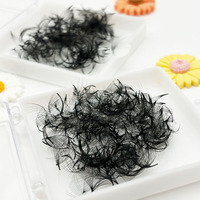 Extensions de cils en éventail préfabriqués Premium Loose Fans 0.03 10D 14D 16D Volume, 300 500 1000 éventails en vrac, Fournisseur de cils