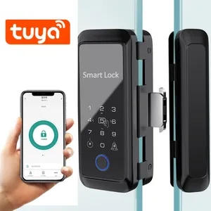 WAFU WF-T3 Smart Glass Door serratura biometrica per impronte digitali 13.56Mhz RFID Card Remote Control Phone App Bluetooth Tuya Electric lock