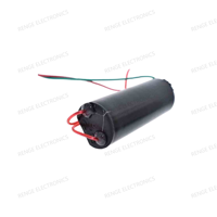 Modul Penguat Daya - DC 3V-6V Bis 400kV 400000V Generator Tegangan Tinggi