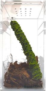 Op maat gemaakte acryl reptielenverblijf met afneembaar paneelontwerp, stapelbaar kweekbak, springspin <span class=keywords><strong>terrarium</strong></span>, voederbak, ventilatieklep - Product Image 5