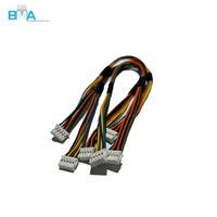 PH 2.0mm 10Pin Double Row Male to Male Harness 250mm UL1007 28AWG Berkode Warna Dengan Pita Asetat untuk Kontrol Industri