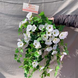 Flor colgante de <span class=keywords><strong>trompeta</strong></span> de petunia púrpura, flor artificial de seda Morning <span class=keywords><strong>Glory</strong></span> para fines decorativos - Product Image 5