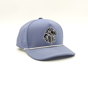 Gorra Deportiva de 5 Paneles de Diseño Moderno Personalizada al por Mayor BSCI, Gorras de Poliéster Blancas con Logotipo Bordado OEM, Gorra de Béisbol con Orificios Cortados con Láser - Product Image 5