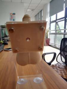 BIX-F5M Giải Phẫu Mô Hình Manikin Cho Giáo Dục Y Tế PVC Nam Bao Cao Su & Não Trường Y Tế Khoa Học Thực Hành Mô Hình - Product Image 5